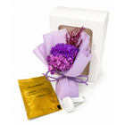 Violet Carnation